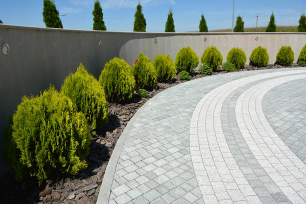 Best Driveway Pavers Contractor  in South Park, WY